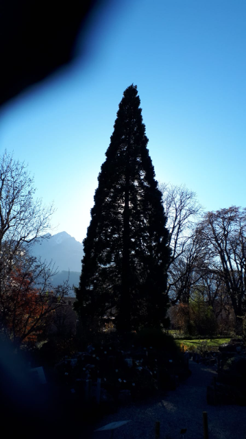 Botanische Garten Innsbruck